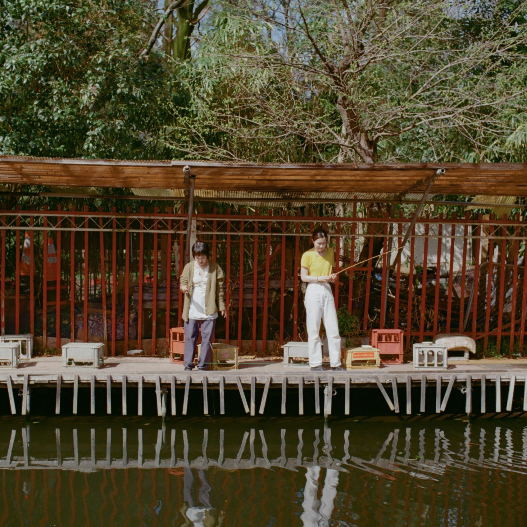 釣り堀で魚釣りをする朝　haru.&times;たなかみさき【後編】